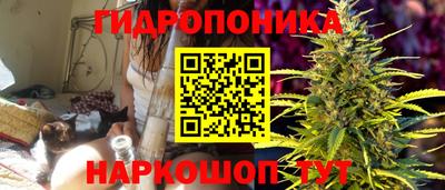 винт Кингисепп