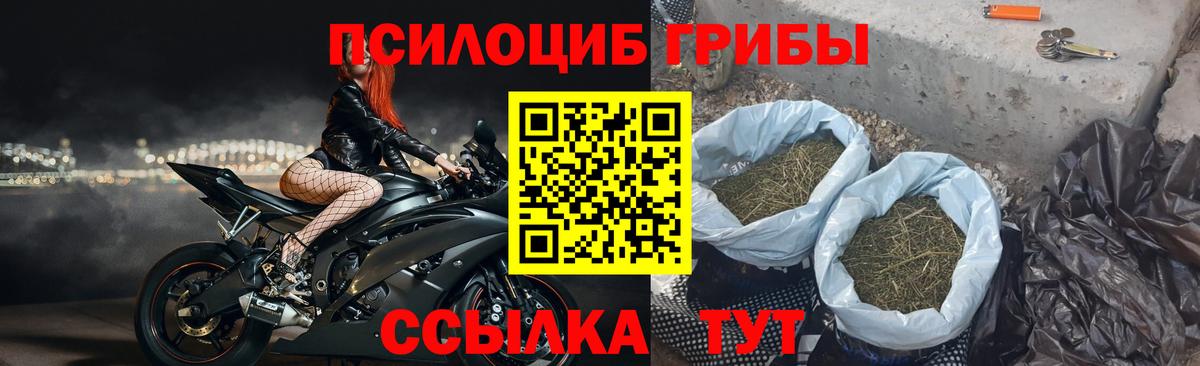 Псилоцибиновые грибы мухоморы  Галлюциногенные грибы MAGIC MUSHROOMS  Гуково  Вход с VPN 